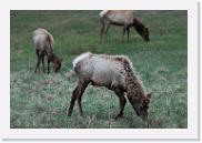 DSC_3257 * 3872 x 2592 * (5.85MB)