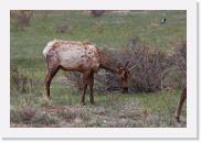 DSC_3259 * 3872 x 2592 * (5.9MB)