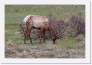 DSC_3260 * 3872 x 2592 * (6.68MB)