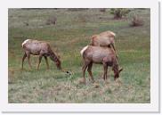 DSC_3261 * 3872 x 2592 * (6.13MB)