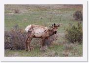 DSC_3262 * 3872 x 2592 * (6.55MB)