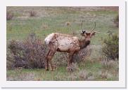 DSC_3263 * 3872 x 2592 * (6.69MB)