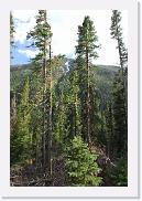 DSC_6553 * 3872 x 2592 * (6.94MB)