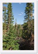 DSC_6554 * 3872 x 2592 * (7.38MB)