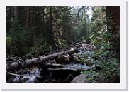 DSC_8960 * 3872 x 2592 * (6.73MB)