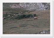 DSC_6780 * 3872 x 2592 * (6.0MB)