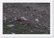 DSC_6781 * 3872 x 2592 * (5.8MB)