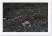 DSC_6782 * 3872 x 2592 * (6.09MB)