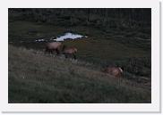 DSC_6784 * 3872 x 2592 * (4.98MB)