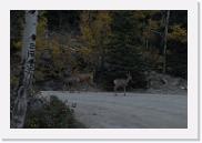 DSC_9150 * 3872 x 2592 * (5.05MB)