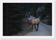 DSC_9159 * 3872 x 2592 * (4.16MB)