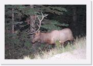 DSC_9160 * 3872 x 2592 * (4.96MB)