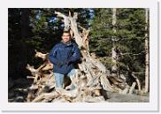 DSC_4034 * 3872 x 2592 * (7.0MB)