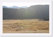 DSC_4047 * 3872 x 2592 * (5.22MB)