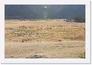 DSC_4048 * 3872 x 2592 * (7.14MB)