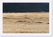 DSC_4049 * 3872 x 2592 * (6.99MB)