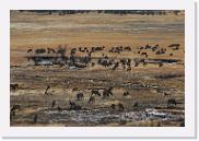 DSC_4050 * 3872 x 2592 * (7.23MB)