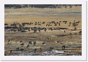 DSC_4052 * 3872 x 2592 * (7.29MB)