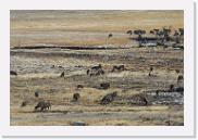 DSC_4053 * 3872 x 2592 * (7.58MB)