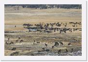 DSC_4054 * 3872 x 2592 * (7.28MB)