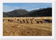 DSC_4056 * 3872 x 2592 * (7.08MB)