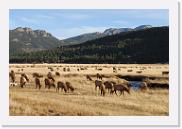 DSC_4058 * 3872 x 2592 * (6.78MB)