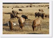 DSC_4061 * 3872 x 2592 * (6.91MB)