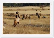 DSC_4062 * 3872 x 2592 * (6.29MB)