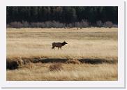 DSC_4063 * 3872 x 2592 * (6.2MB)