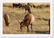 DSC_4064 * 3872 x 2592 * (6.6MB)