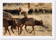 DSC_4065 * 3872 x 2592 * (7.18MB)