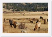 DSC_4066 * 3872 x 2592 * (6.23MB)