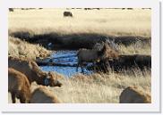 DSC_4067 * 3872 x 2592 * (6.3MB)