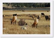 DSC_4068 * 3872 x 2592 * (6.4MB)