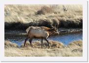 DSC_4069 * 3872 x 2592 * (7.34MB)