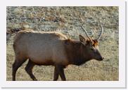 DSC_4070 * 3872 x 2592 * (6.56MB)