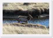 DSC_4071 * 3872 x 2592 * (7.33MB)