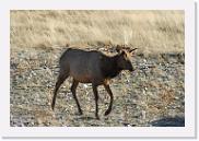 DSC_4072 * 3872 x 2592 * (7.12MB)