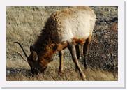 DSC_4073 * 3872 x 2592 * (7.01MB)