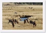 DSC_4074 * 3872 x 2592 * (7.3MB)