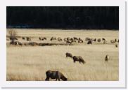 DSC_4075 * 3872 x 2592 * (5.67MB)