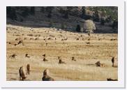 DSC_4076 * 3872 x 2592 * (6.66MB)