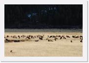 DSC_4077 * 3872 x 2592 * (5.11MB)