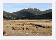 DSC_4078 * 3872 x 2592 * (6.41MB)