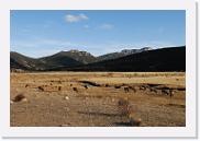 DSC_4079 * 3872 x 2592 * (6.1MB)