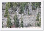 DSC_4095 * 3872 x 2592 * (6.9MB)