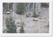 DSC_4096 * 3872 x 2592 * (7.21MB)