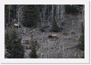 DSC_4099 * 3872 x 2592 * (6.84MB)