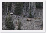 DSC_4100 * 3872 x 2592 * (6.91MB)