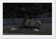 DSC_4106 * 3872 x 2592 * (4.81MB)